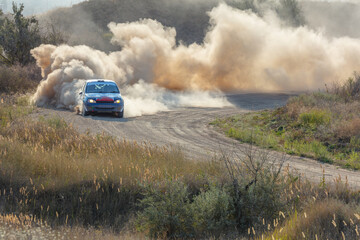 Rally Car in a Turn and a Cloud of Dust 17