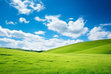 Obraz premium Sky and grass background, fresh green fields under the blue sky in spring