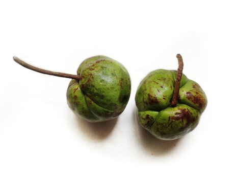 Elephant apple is a fruit native to China, India, and tropical Asia. It is found in stony river banks. It is used in curries, pickles, jams and jellies due to it's distinct sweet and sour taste. 