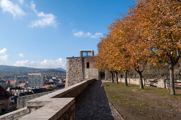 Castle and Government Palace in Budapest, Hungary in autumn with trees and city view.