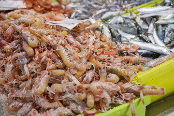 Close up view of crayfish in a seafood market healthy food