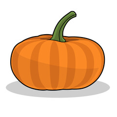 Vector illustration of pumpkin isolated on white background