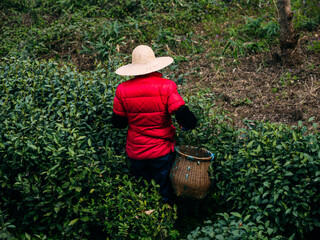 person with a shovel