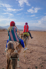 Marrakech, Morocco - Feb 22, 2023: Tourists ride Dromedary camels through the Agafay desert