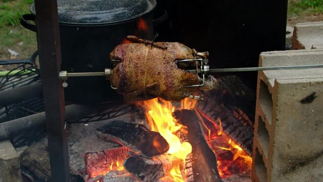 Slow motion of almost cooked and tender whole duck being rotisserie over fire pit. Fat and juice render as meat being browned.