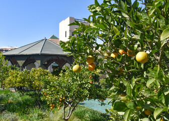 Marrakech, Morocco - Feb 21, 2023: Le Jardin Secret (The Secret Garden), in the old medina of...