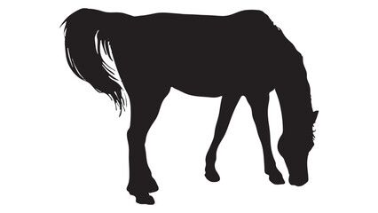 Fototapeta premium Black silhouette of horse, Beautiful horse vector design, rearing up horse, Horses silhouette vector illustration, horse vector