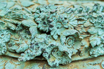 Close-up of old vintage fragment of monument, pastille ornament, green old copper