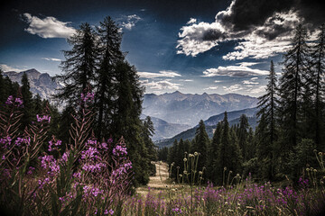 sunset in the mountains