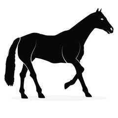 Black silhouette of horse, Beautiful horse vector design, rearing up horse, Horses silhouette vector illustration, horse vector