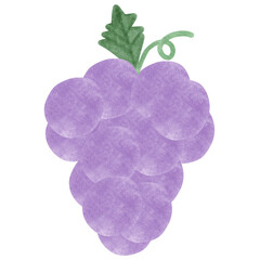 illustration of a grape