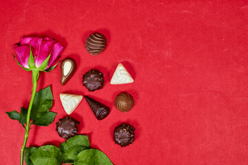 chocolate pieces from various type for valentine's day with pink rose flower isolated on red background