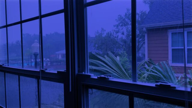 Tropical Rainy Day View From House Interior Window