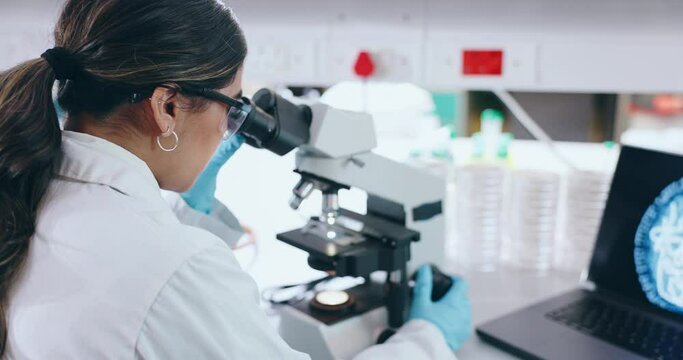 Science, Laptop And Microscope With A Student In A Laboratory For Research, Innovation Or Medical Breakthrough. Medicine, Pharmaceuticals And Sample Study With A Scientist Working In A Biology Lab