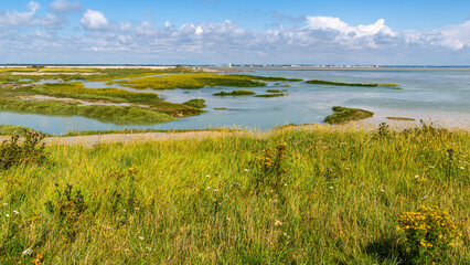 Grande marée en baie de Somme - coefficient de 104