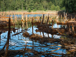 Poisoned lake in opencast mine  Muzakow, Leknica - 642882837