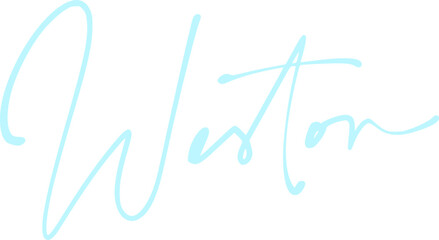 signature lettering alphabet design illustration