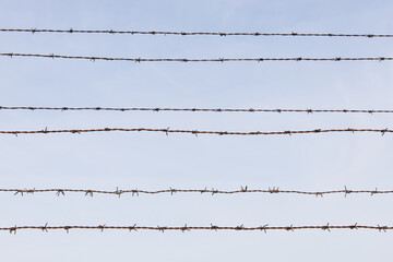 Rusty barbwire fence with blue sky in the background