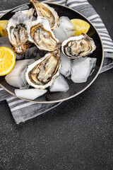 oyster seafood fruit de mer fresh meal oysters food snack on the table copy space food background rustic top view 