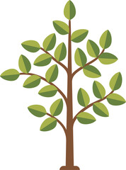 Green tree. Growing plant icon. Nature symbol