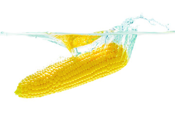 Husked Corn Cob Dropped in Water with Splashes