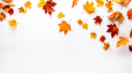 Leaves in warm fall colors like orange, yellow, brown and red. Isolated on a white background. Concept of fall season.