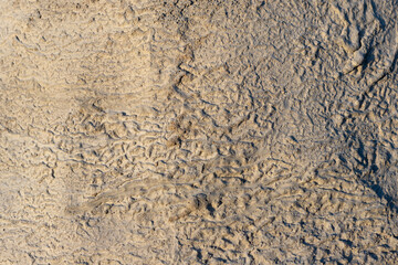 Concrete texture background