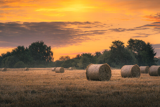 Fototapeta Pomarańczowy letni wschód słońca nad polem, na którym leżą bale słomy
