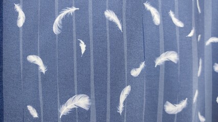 blue and white background