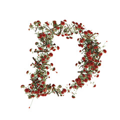 Obraz na płótnie Canvas Font made of flowers and leaves, alphabet, font art 3d rendering with transparent background