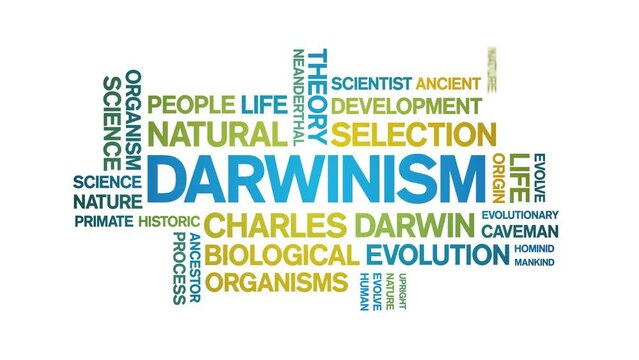 Darwinism animated tag word cloud;text design animation kinetic typography seamless loop.