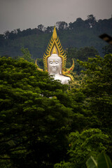 Big Buddha statue, set in the forest, on the mountain, tree background, beautiful in Thailand