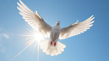 Obraz premium A white dove in the blue sky air with wings wide open in front of the sun. Freedom concept and international day of peace. Generative Ai