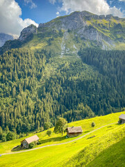 landscape in the summer in Switzerland 