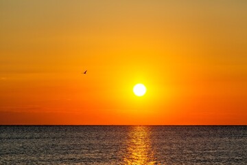 Sunrise sunset on the beach shore of Lake Erie - obrazy, fototapety, plakaty