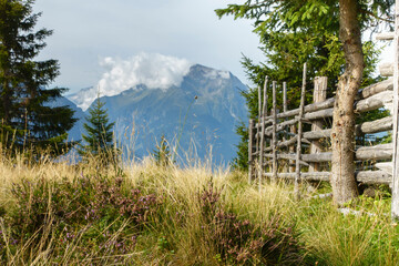 Blick zum herbstlichen Berggipfel in den Alpen