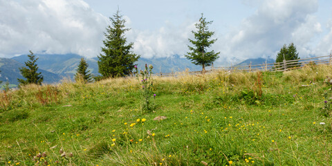 Panorama einer Bergblumenwiese mit Holzzaun