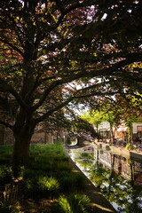 A picture clicked in The Netherlands