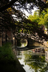 A picture clicked in The Netherlands