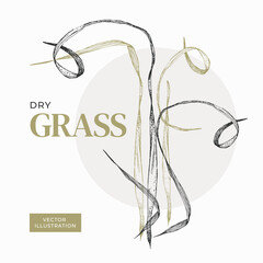 Frame for text from tall dry grass. Vector illustration in rustic style. For the design of invitations, cards, books about herbs