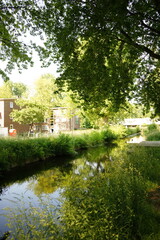 A picture clicked in The Netherlands