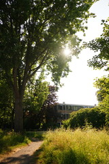 A picture clicked in The Netherlands