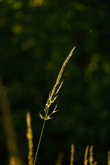 A picture clicked in The Netherlands