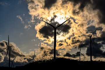 경북 영덕 풍력발전단지