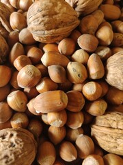 noix et noisettes fruits à coque