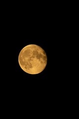 Orange Super Moon with black background 