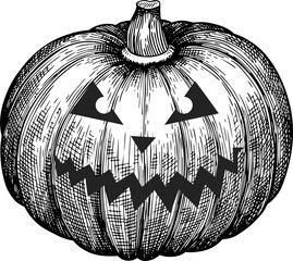 Hand Drawn Halloween Pumpkin Illustration - 643011883