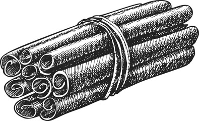 Hand Drawn Cinnamon Spices Illustration