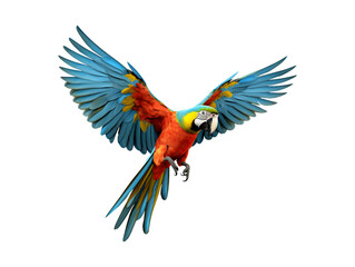 Flying macaw parrot isolated on transparent or white background, png