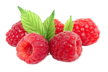 Group of raspberry with leaves isolated on transparent background with PNG.